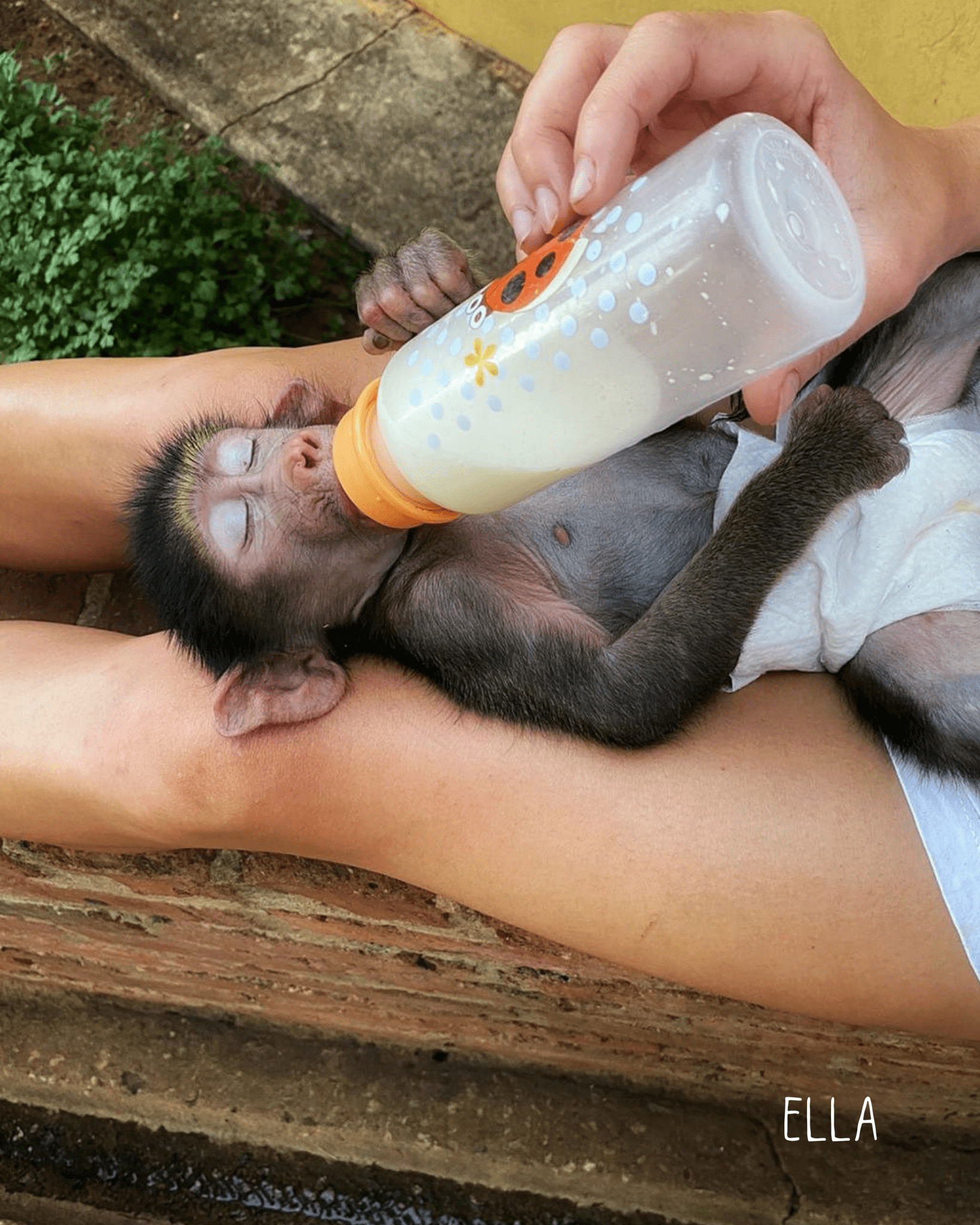 Ellas Mondstein Ring Nella & Sina
