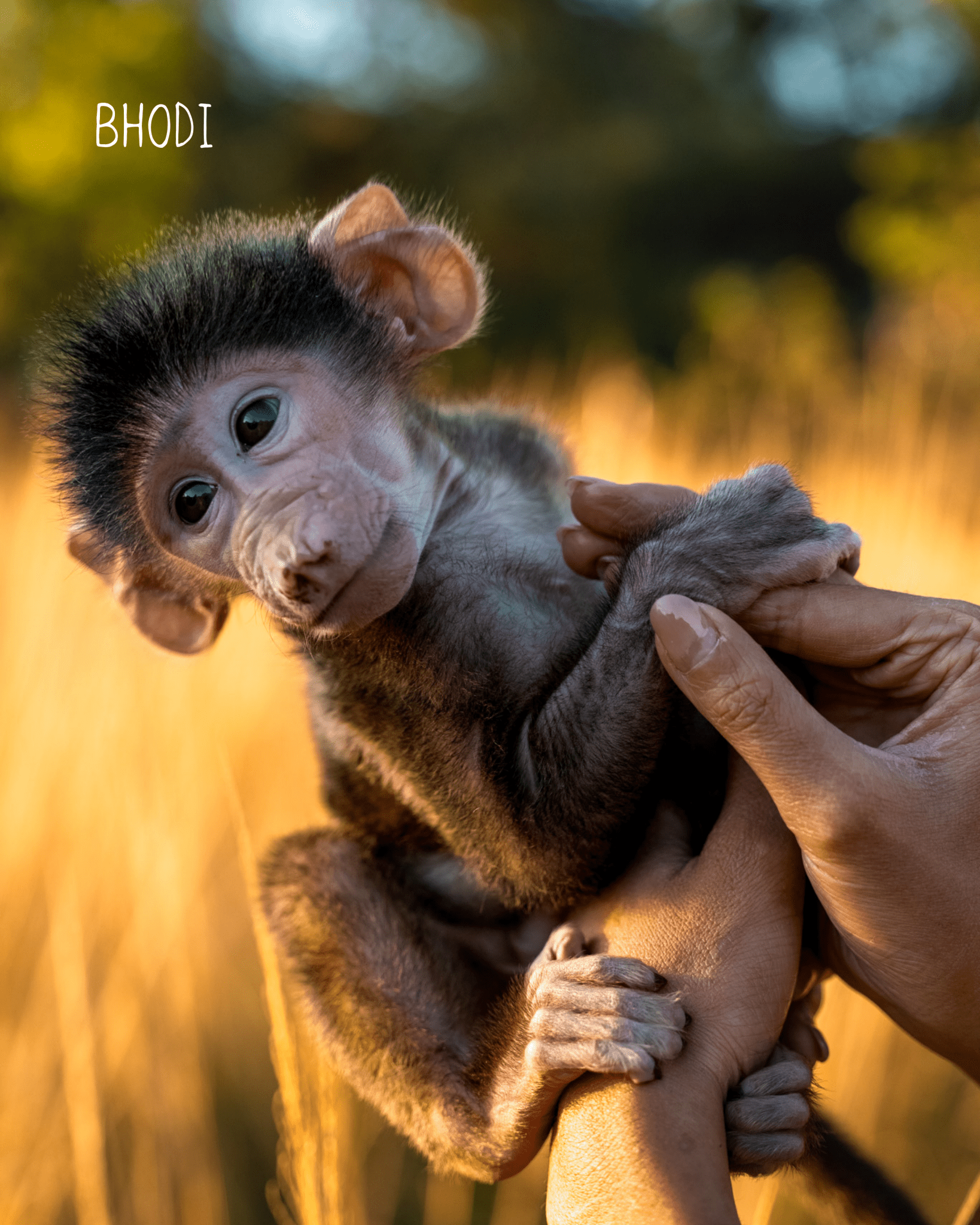 Bhodis Perlen Ring Nella & Sina